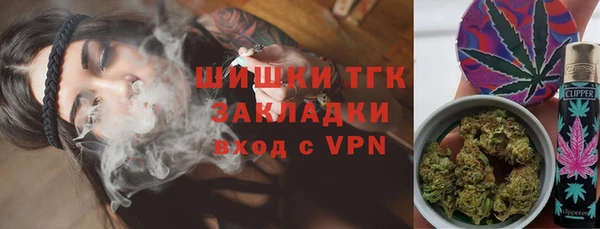 молекула духа Арсеньев