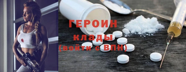 индика Аркадак