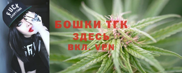 индика Аркадак