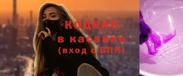 индика Аркадак