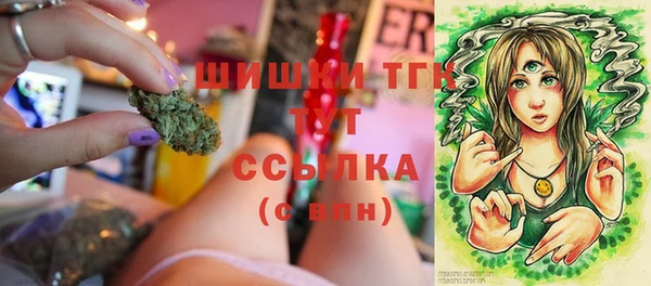 молекула духа Арсеньев