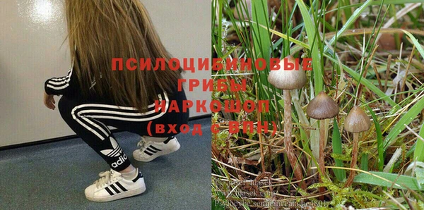 молекула духа Арсеньев