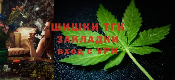 индика Аркадак