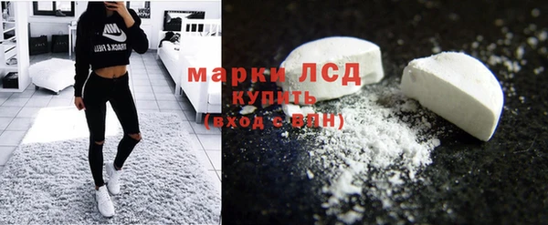 индика Аркадак