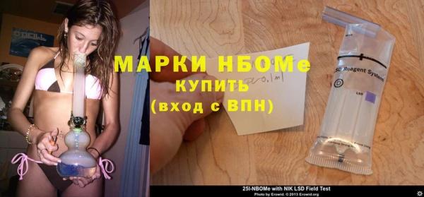 индика Аркадак