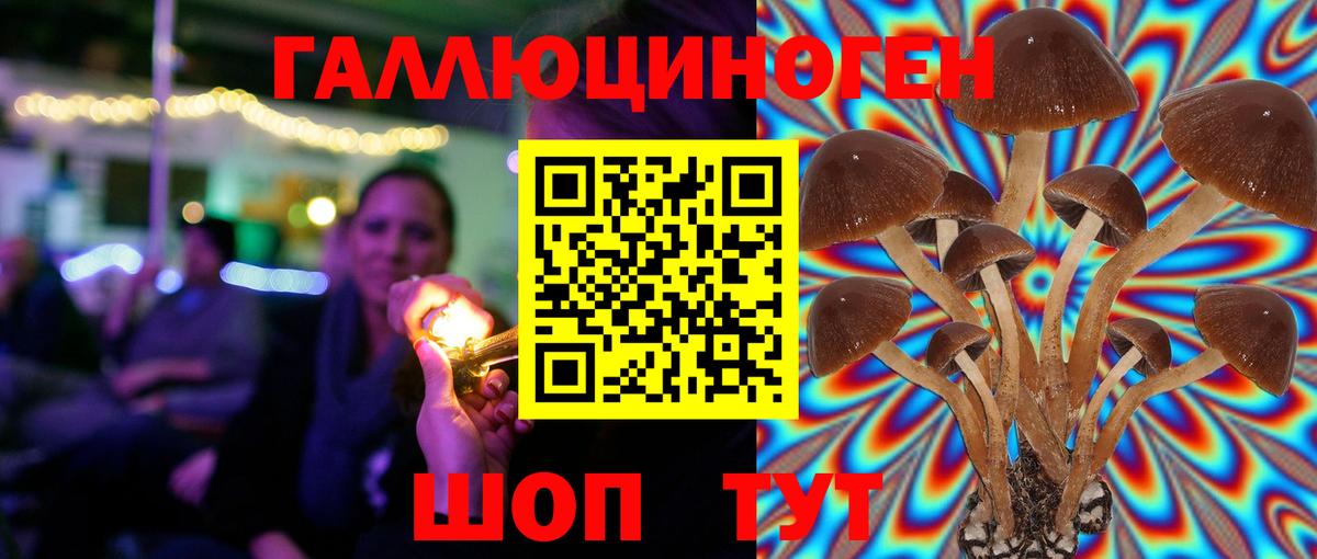 Галлюциногенные грибы MAGIC MUSHROOMS  Вход с VPN  Новый Уренгой 