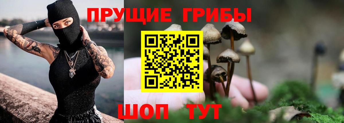 Псилоцибиновые грибы ЛСД Новый Уренгой