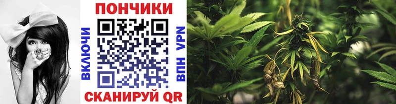 магазин    Новый Уренгой  Бошки Шишки планчик 